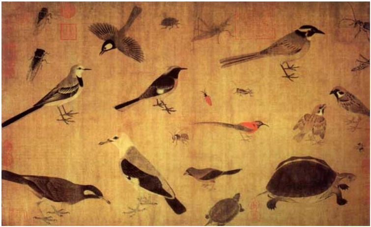 1918年徐悲鸿评文华殿所藏之二 五代黄筌《鹰逐画眉》
